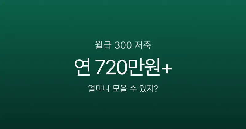 월급 300만원 실수령액 270만원, 월 60만원 저축하면 1년 뒤 얼마?