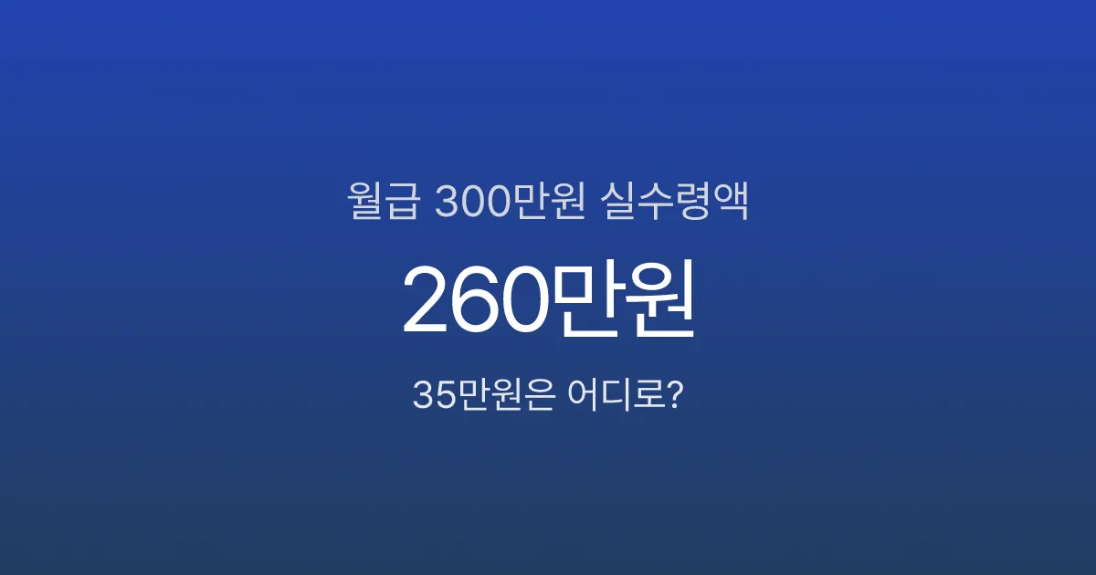 월급 300만원인데 실수령 260만원? 매달 빠지는 35만원의 정체