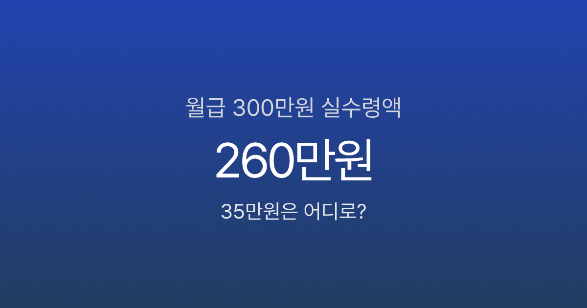 월급 300만원인데 실수령 260만원? 매달 빠지는 35만원의 정체